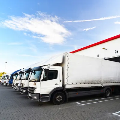 Firma Spedycyjna LEX-TRANS GLOBAL– Logistyka | Spedycja | Transport Międzynarodowy